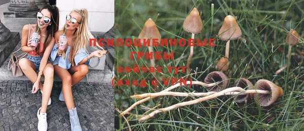 гидра Бугульма