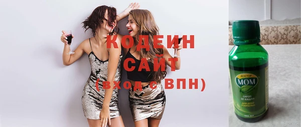 молекула духа Бородино