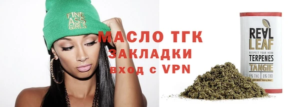 молекула духа Бородино