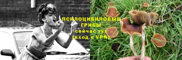 ешки Верхний Тагил