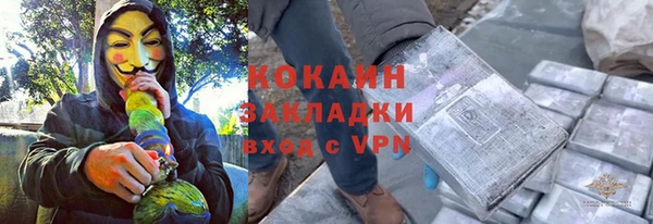 молекула духа Бородино