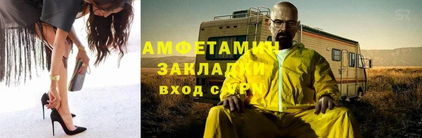 молекула духа Бородино