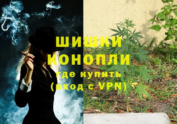 гидра Бугульма