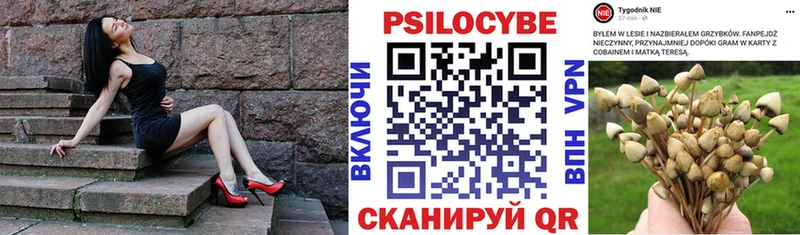 Псилоцибиновые грибы прущие грибы  Купить где  Мамадыш 